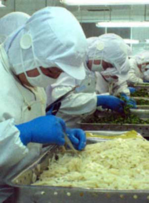 山東農(nóng)副產(chǎn)品出口大幅增長，優(yōu)質(zhì)特色產(chǎn)品走俏國際市場