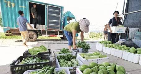 農(nóng)副產(chǎn)品物流的特點(diǎn)