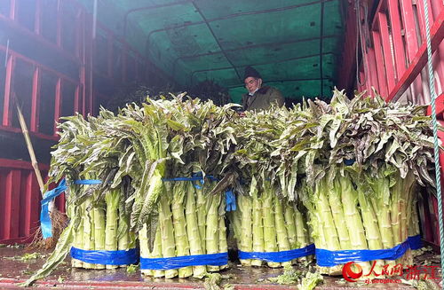 新春走基層 24小時不打烊，守護(hù)萬家煙火氣——走訪華東最大農(nóng)副產(chǎn)品集散地
