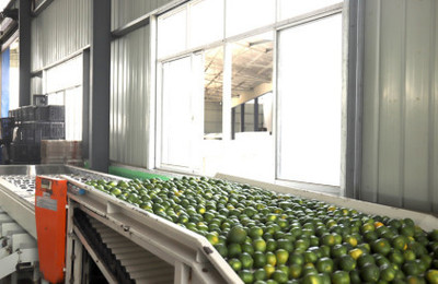 湖北農(nóng)副產(chǎn)品的疫后突圍 從挑戰(zhàn)到機(jī)遇的振興之路