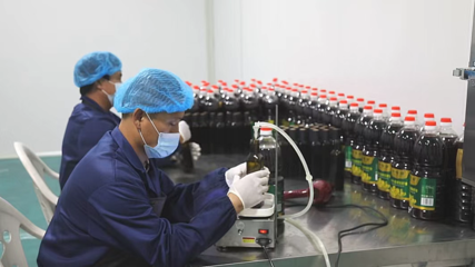 黃龍奏響春耕“變奏曲” 特色農(nóng)副產(chǎn)品的綠色發(fā)展與鄉(xiāng)村振興新篇章