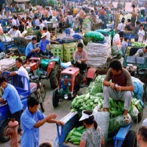 上海浦南農(nóng)副產(chǎn)品批發(fā)市場(chǎng) 都市的“綠色心臟”與百姓的“菜籃子”