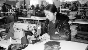 數(shù)字化賦能農(nóng)副產(chǎn)品流通 從田間到餐桌的智慧轉(zhuǎn)型