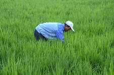 塞上江南，物阜民豐——探秘寧夏特色農副產品產業