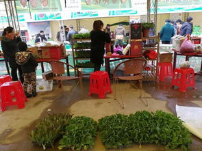 兩祁農副特產展銷會今日開幕，五十余家企業攜名優土特產齊聚一堂