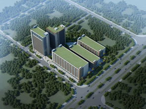 沙田實業投資管理項目領銜，總投資390.6億元助力區域經濟騰飛