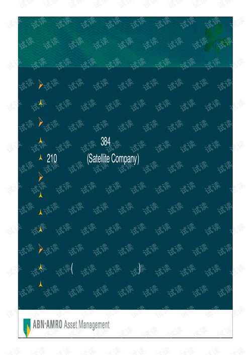 實(shí)業(yè)投資管理 荷銀投資管理公司全球首選投資策略商業(yè)計(jì)劃書(shū)